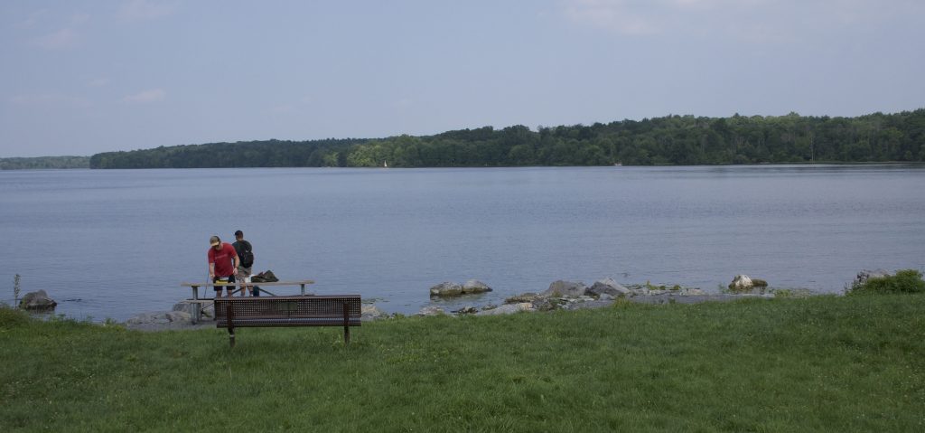 Lake Nockamixon Fishing